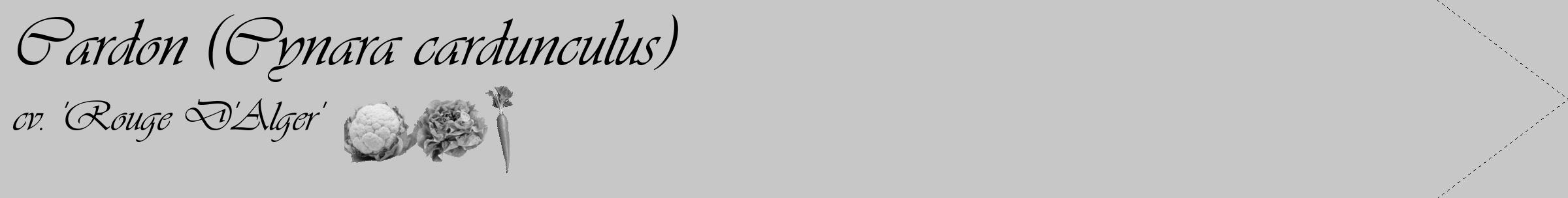 Étiquette de : Cynara cardunculus cv. 'Rouge D'Alger' - format c - style noire15_simple_simpleviv avec comestibilité simplifiée