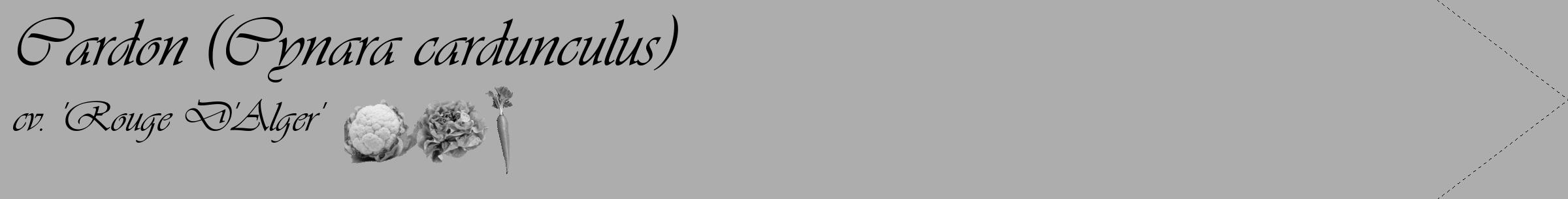 Étiquette de : Cynara cardunculus cv. 'Rouge D'Alger' - format c - style noire22_simple_simpleviv avec comestibilité simplifiée