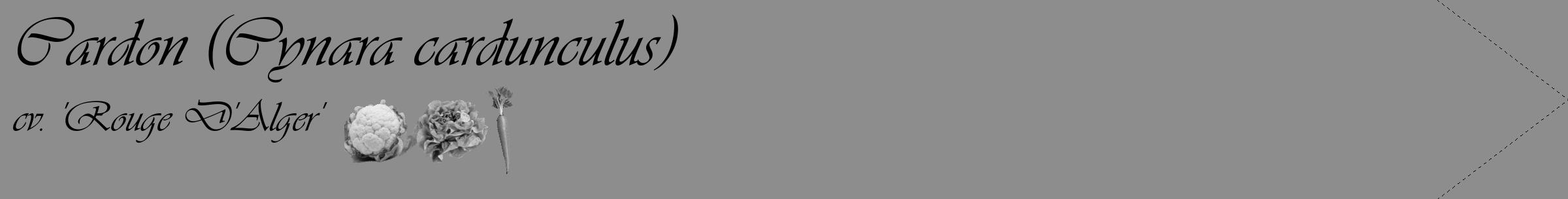 Étiquette de : Cynara cardunculus cv. 'Rouge D'Alger' - format c - style noire2_simple_simpleviv avec comestibilité simplifiée
