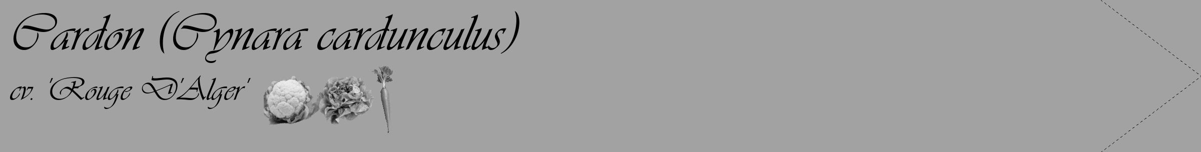 Étiquette de : Cynara cardunculus cv. 'Rouge D'Alger' - format c - style noire38_simple_simpleviv avec comestibilité simplifiée