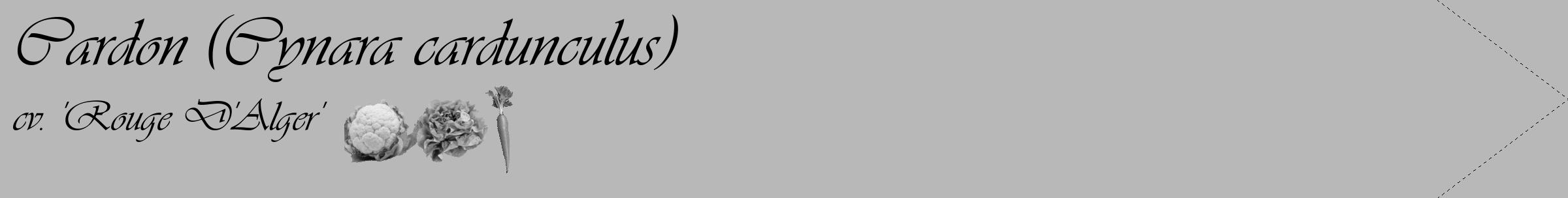 Étiquette de : Cynara cardunculus cv. 'Rouge D'Alger' - format c - style noire39_simple_simpleviv avec comestibilité simplifiée