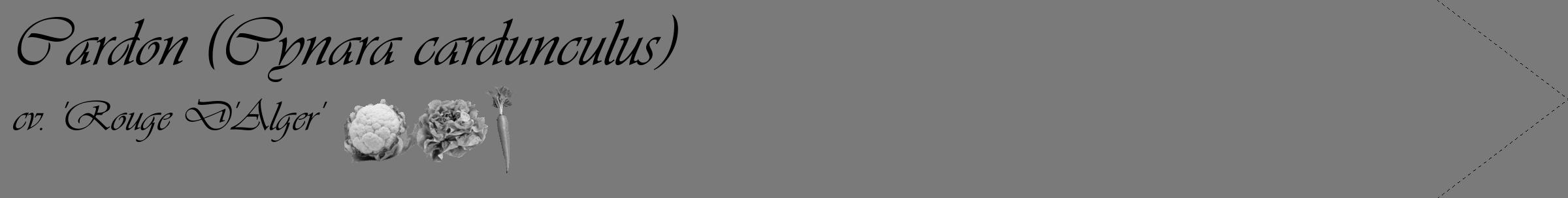 Étiquette de : Cynara cardunculus cv. 'Rouge D'Alger' - format c - style noire3_simple_simpleviv avec comestibilité simplifiée