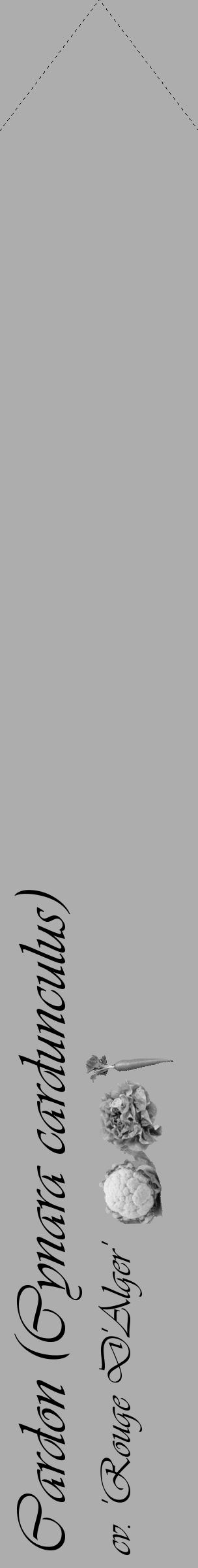 Étiquette de : Cynara cardunculus cv. 'Rouge D'Alger' - format c - style noire22_simple_simpleviv avec comestibilité simplifiée - position verticale