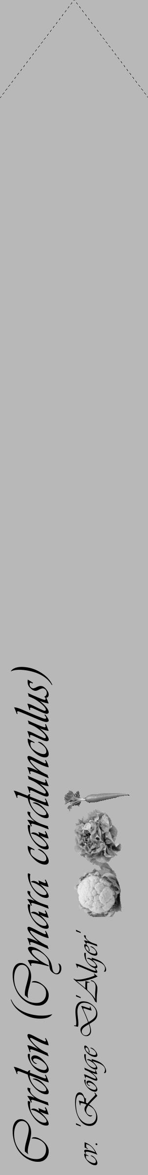 Étiquette de : Cynara cardunculus cv. 'Rouge D'Alger' - format c - style noire39_simple_simpleviv avec comestibilité simplifiée - position verticale