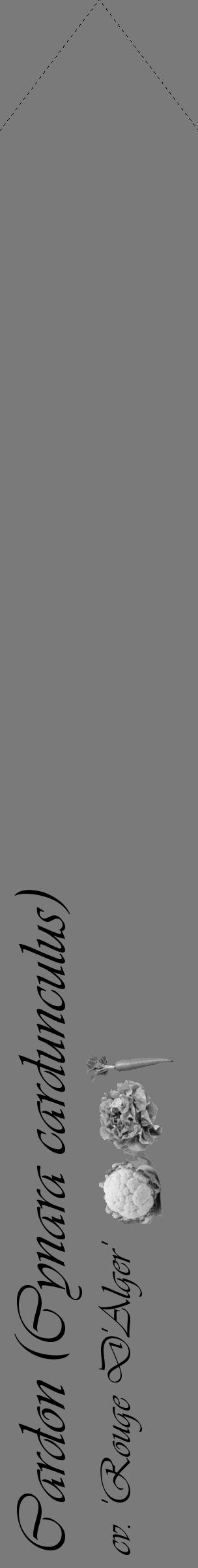Étiquette de : Cynara cardunculus cv. 'Rouge D'Alger' - format c - style noire3_simple_simpleviv avec comestibilité simplifiée - position verticale