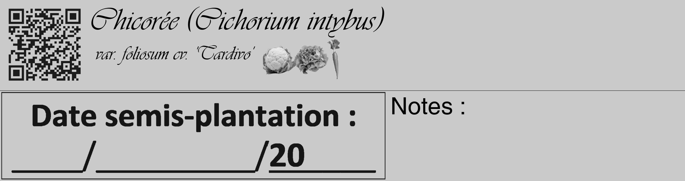 Étiquette de : Cichorium intybus var. foliosum cv. 'Tardivo' - format c - style noire21_basique_basiqueviv avec qrcode et comestibilité simplifiée