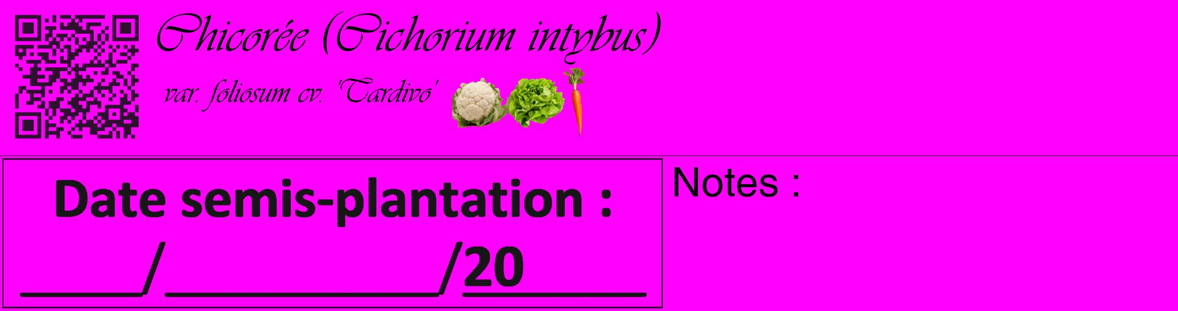 Étiquette de : Cichorium intybus var. foliosum cv. 'Tardivo' - format c - style noire51_basique_basiqueviv avec qrcode et comestibilité simplifiée