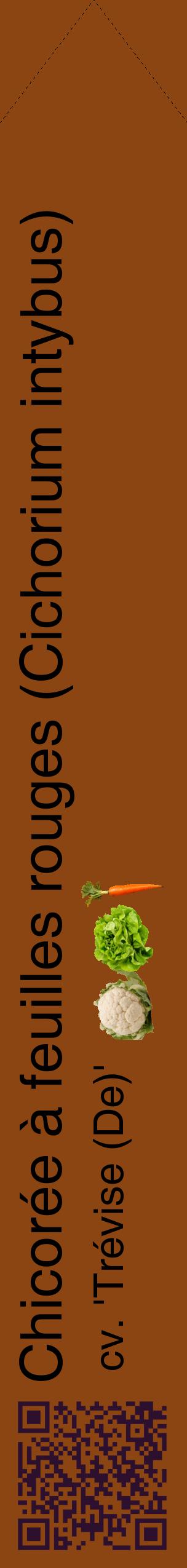 Étiquette de : Cichorium intybus cv. 'Trévise (De)' - format c - style noire30_simplehel avec qrcode et comestibilité simplifiée