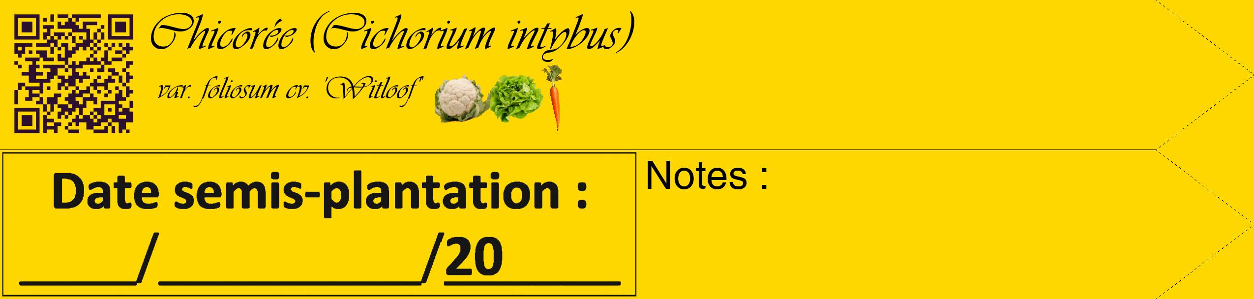 Étiquette de : Cichorium intybus var. foliosum cv. 'Witloof' - format c - style noire21simple_basique_basiqueviv avec qrcode et comestibilité simplifiée