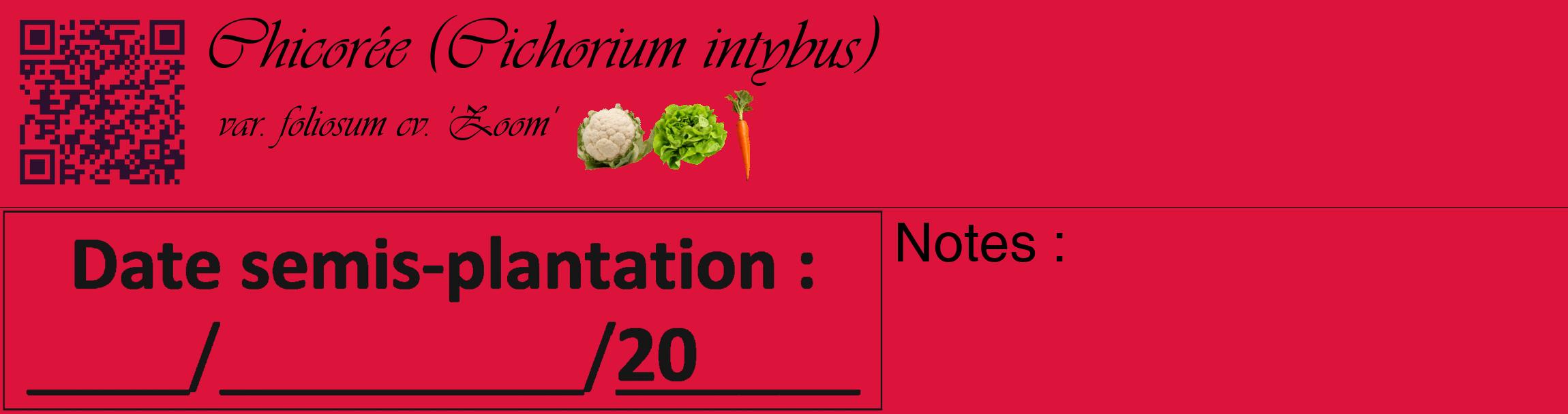 Étiquette de : Cichorium intybus var. foliosum cv. 'Zoom' - format c - style noire36_basique_basiqueviv avec qrcode et comestibilité simplifiée