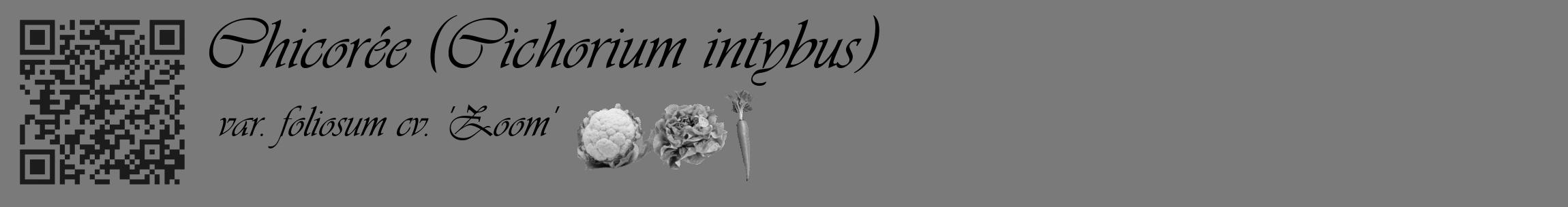 Étiquette de : Cichorium intybus var. foliosum cv. 'Zoom' - format c - style noire3_basique_basiqueviv avec qrcode et comestibilité simplifiée