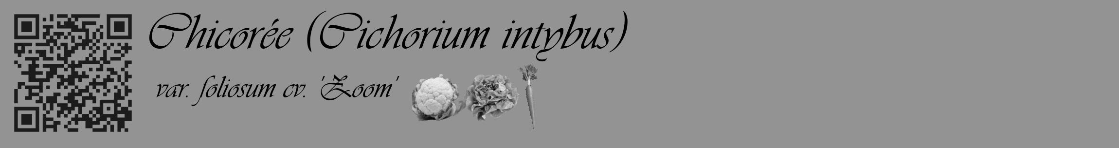 Étiquette de : Cichorium intybus var. foliosum cv. 'Zoom' - format c - style noire44basique_basique_basiqueviv avec qrcode et comestibilité simplifiée