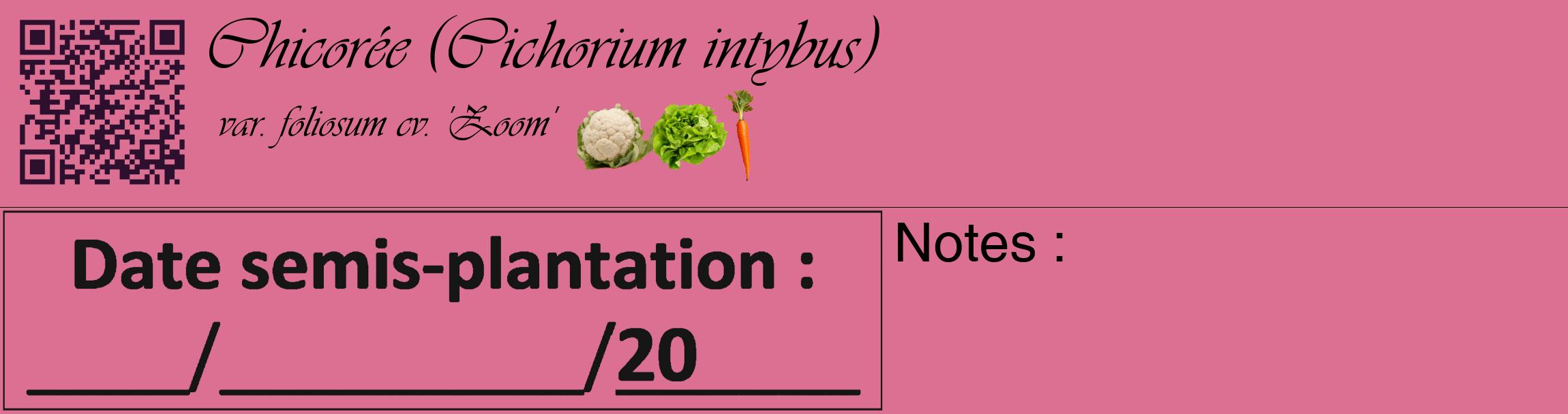 Étiquette de : Cichorium intybus var. foliosum cv. 'Zoom' - format c - style noire44basique_basique_basiqueviv avec qrcode et comestibilité simplifiée