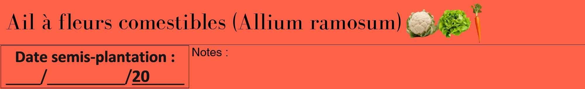 Étiquette de : Allium ramosum - format a - style noire25bod avec comestibilité simplifiée