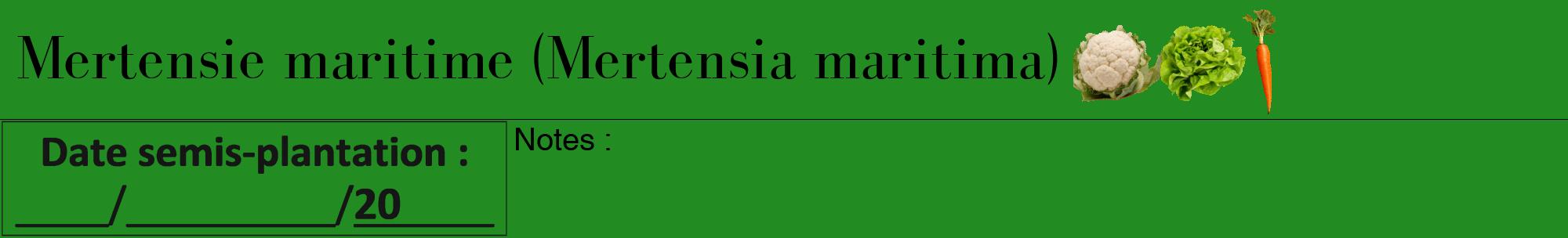 Étiquette de : Mertensia maritima - format a - style noire10bod avec comestibilité simplifiée