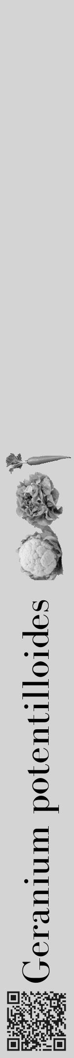 Étiquette de : Geranium potentilloides - format a - style noire40bod avec qrcode et comestibilité simplifiée - position verticale