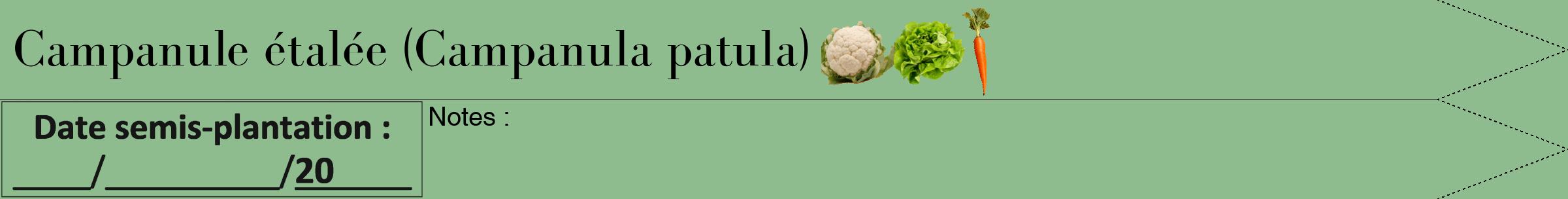Étiquette de : Campanula patula - format b - style noire13bod avec comestibilité simplifiée