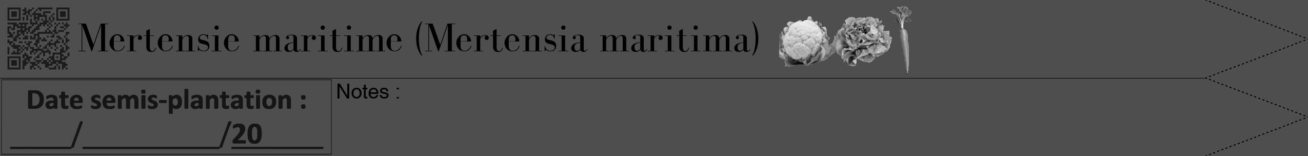 Étiquette de : Mertensia maritima - format b - style noire33bod avec qrcode et comestibilité simplifiée