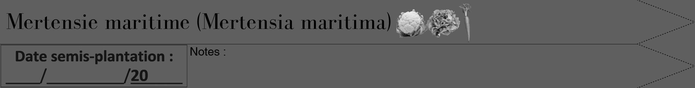 Étiquette de : Mertensia maritima - format b - style noire10bod avec comestibilité simplifiée