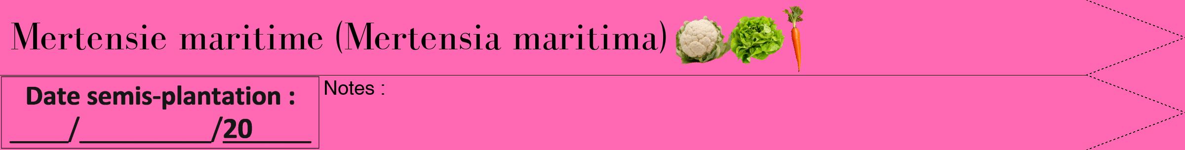 Étiquette de : Mertensia maritima - format b - style noire42bod avec comestibilité simplifiée