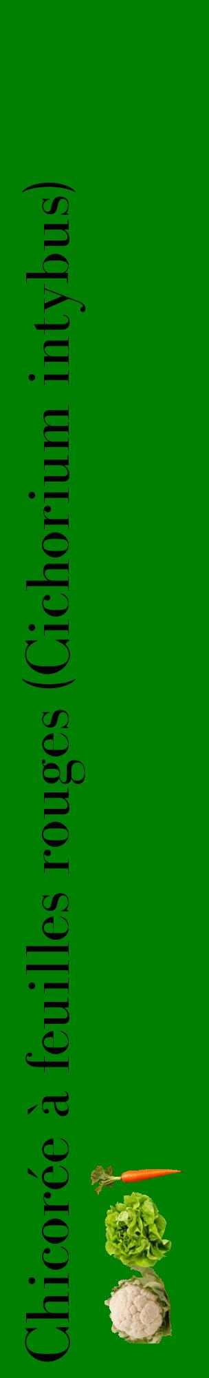 Étiquette de : Cichorium intybus - format c - style noire9_basiquebod avec comestibilité simplifiée