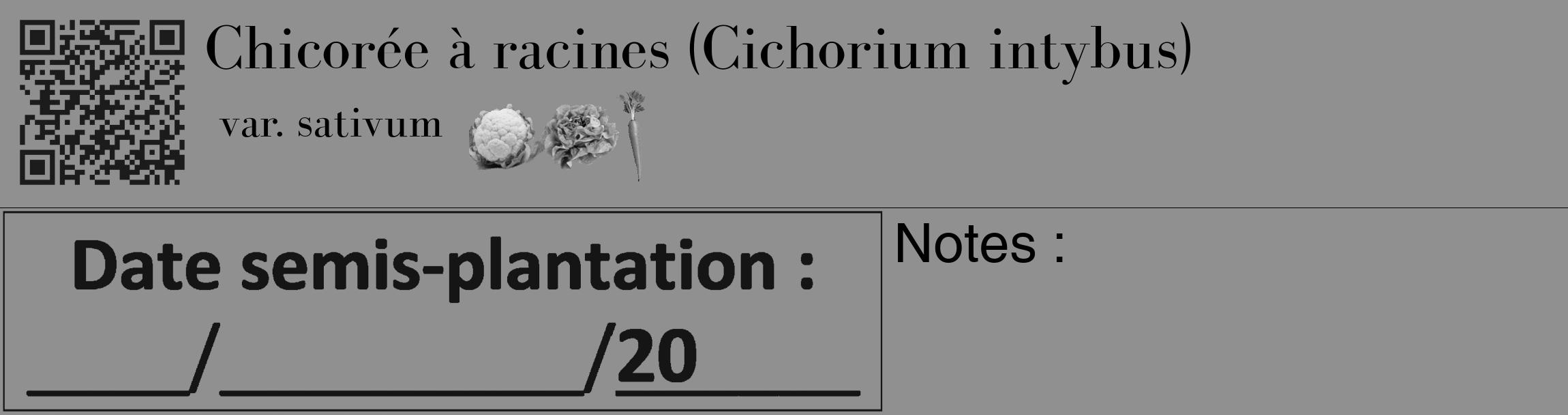 Étiquette de : Cichorium intybus var. sativum - format c - style noire4_basique_basiquebod avec qrcode et comestibilité simplifiée