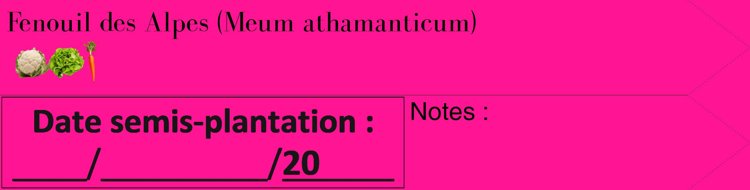 Étiquette de : Meum athamanticum - format c - style noire43_simple_simplebod avec comestibilité simplifiée