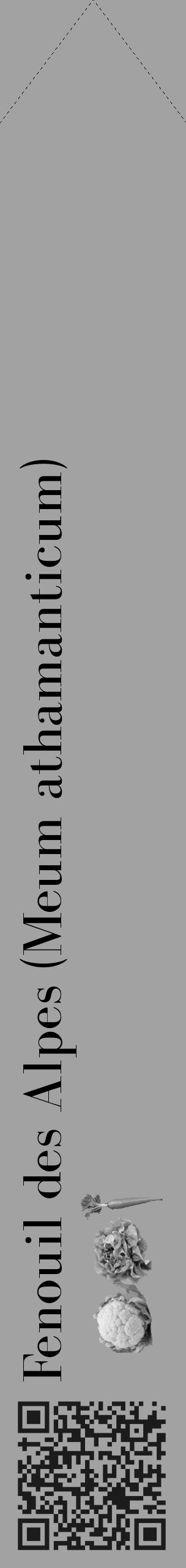 Étiquette de : Meum athamanticum - format c - style noire38_simple_simplebod avec qrcode et comestibilité simplifiée - position verticale