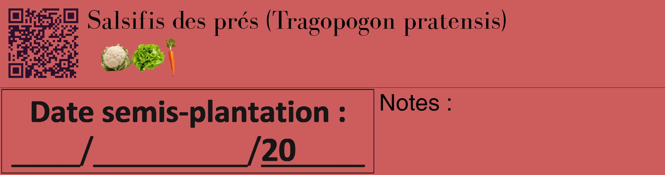 Étiquette de : Tragopogon pratensis - format c - style noire35_basique_basiquebod avec qrcode et comestibilité simplifiée