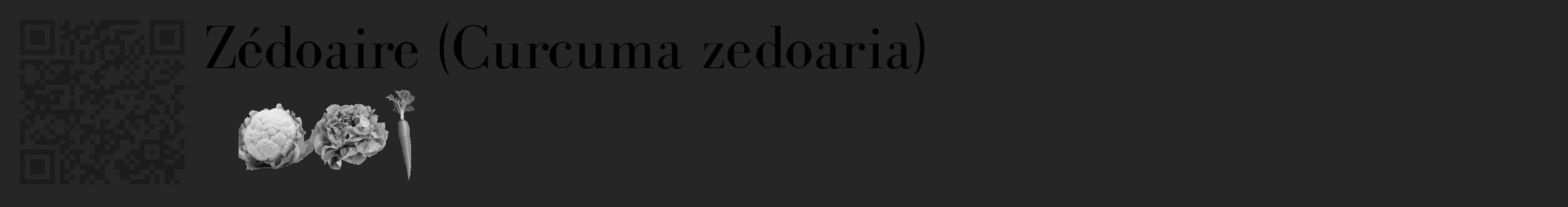 Étiquette de : Curcuma zedoaria - format c - style noire29_basique_basiquebod avec qrcode et comestibilité simplifiée