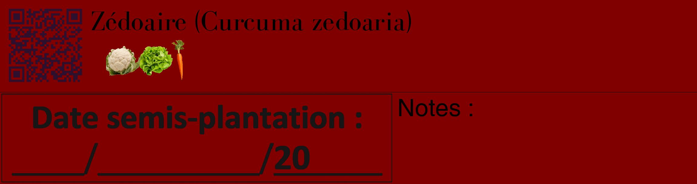 Étiquette de : Curcuma zedoaria - format c - style noire29_basique_basiquebod avec qrcode et comestibilité simplifiée