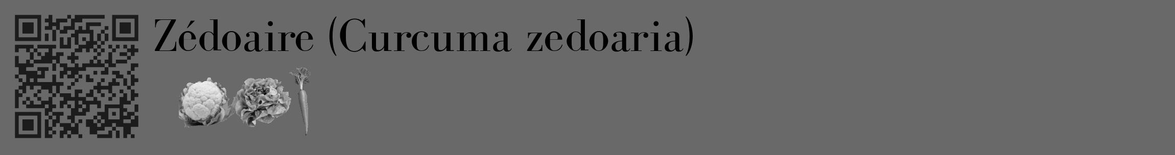 Étiquette de : Curcuma zedoaria - format c - style noire51_basique_basiquebod avec qrcode et comestibilité simplifiée