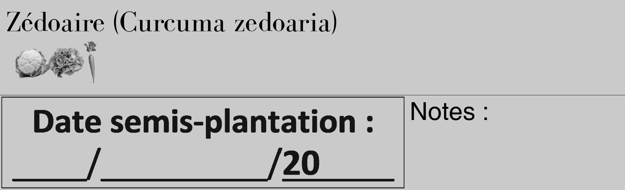 Étiquette de : Curcuma zedoaria - format c - style noire21_basique_basiquebod avec comestibilité simplifiée