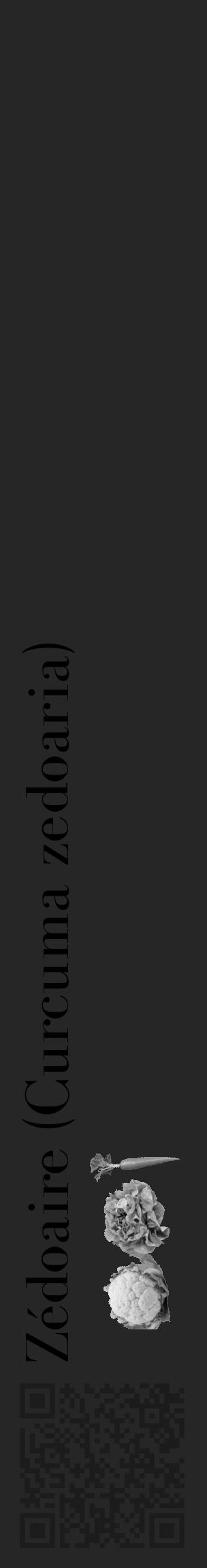 Étiquette de : Curcuma zedoaria - format c - style noire29_basique_basiquebod avec qrcode et comestibilité simplifiée - position verticale