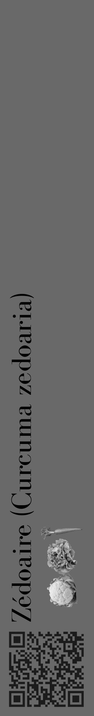 Étiquette de : Curcuma zedoaria - format c - style noire51_basique_basiquebod avec qrcode et comestibilité simplifiée - position verticale