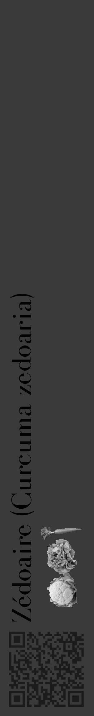 Étiquette de : Curcuma zedoaria - format c - style noire8_basique_basiquebod avec qrcode et comestibilité simplifiée - position verticale