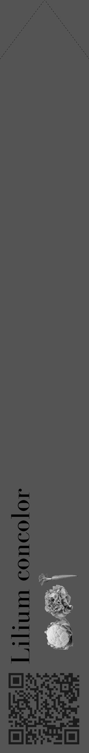 Étiquette de : Lilium concolor - format c - style noire30_simple_simplebod avec qrcode et comestibilité simplifiée - position verticale