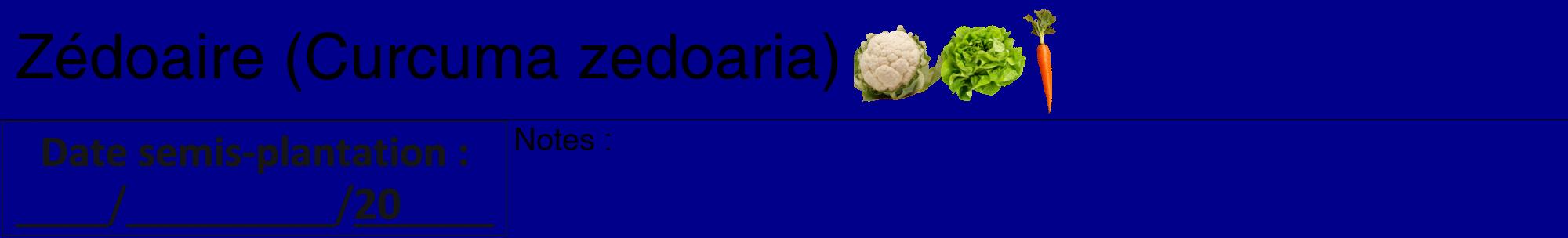 Étiquette de : Curcuma zedoaria - format a - style noire7hel avec comestibilité simplifiée