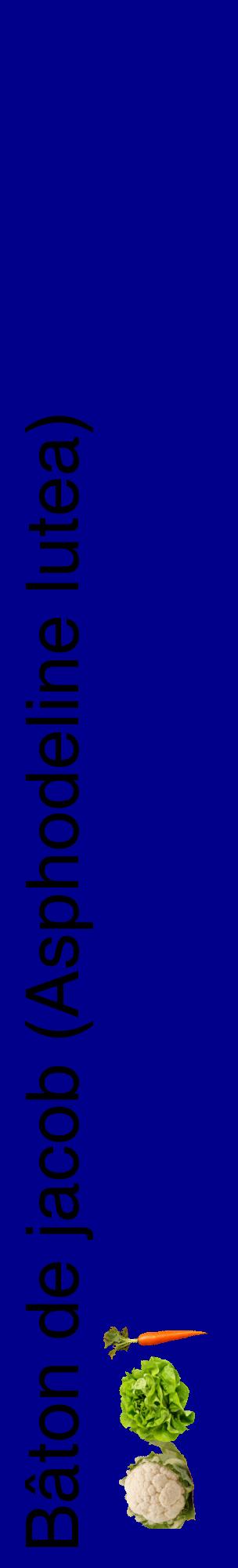 Étiquette de : Asphodeline lutea - format c - style noire7_basiquehel avec comestibilité simplifiée
