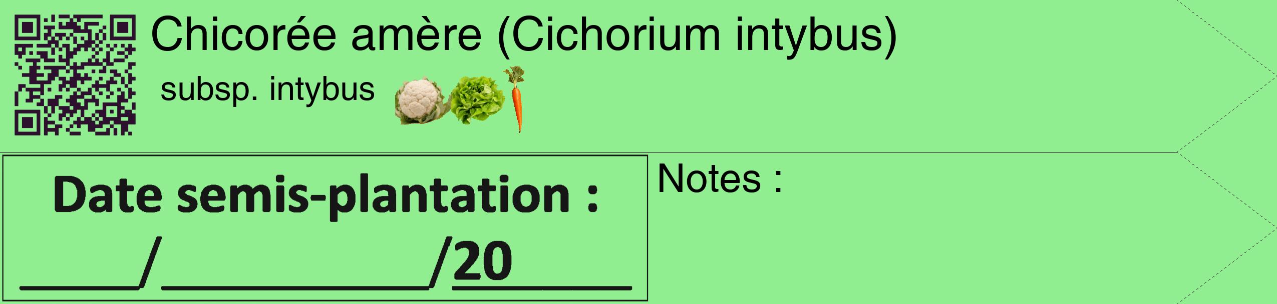Étiquette de : Cichorium intybus subsp. intybus - format c - style noire15_simple_simplehel avec qrcode et comestibilité simplifiée