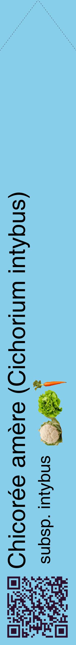 Étiquette de : Cichorium intybus subsp. intybus - format c - style noire1_simplehel avec qrcode et comestibilité simplifiée