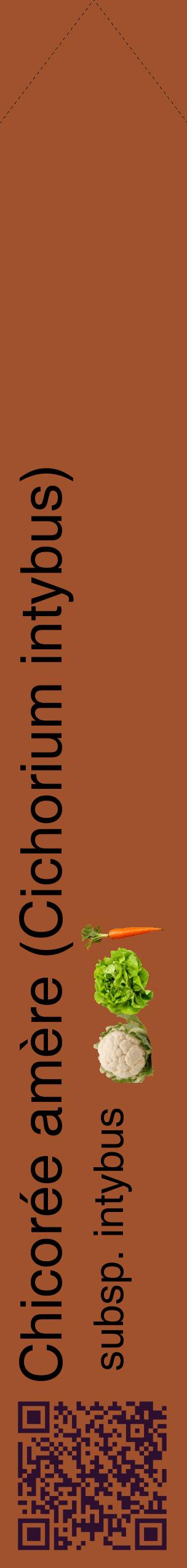 Étiquette de : Cichorium intybus subsp. intybus - format c - style noire32_simplehel avec qrcode et comestibilité simplifiée