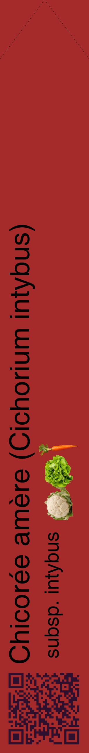 Étiquette de : Cichorium intybus subsp. intybus - format c - style noire33_simplehel avec qrcode et comestibilité simplifiée