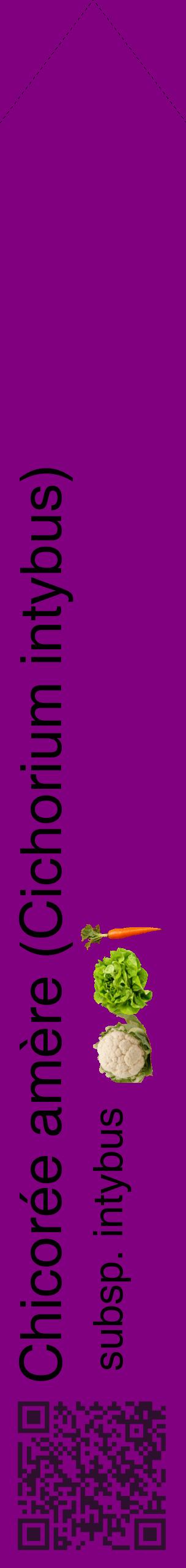 Étiquette de : Cichorium intybus subsp. intybus - format c - style noire46_simplehel avec qrcode et comestibilité simplifiée