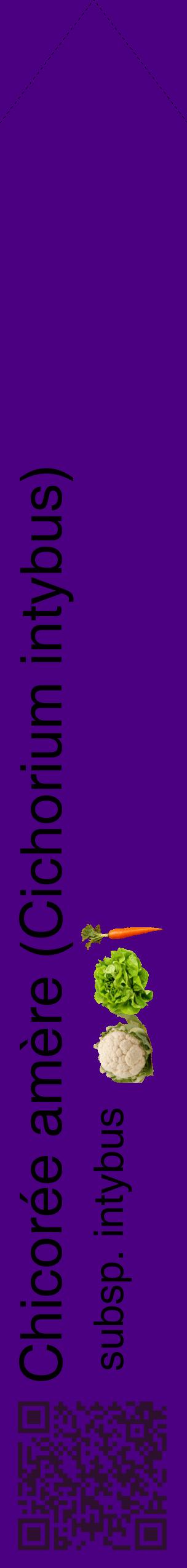 Étiquette de : Cichorium intybus subsp. intybus - format c - style noire47_simplehel avec qrcode et comestibilité simplifiée