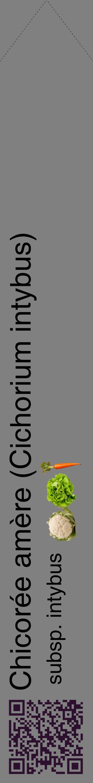 Étiquette de : Cichorium intybus subsp. intybus - format c - style noire57_simplehel avec qrcode et comestibilité simplifiée