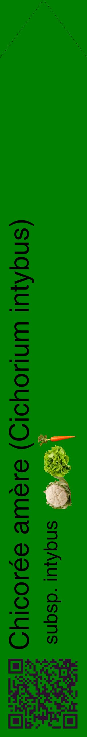 Étiquette de : Cichorium intybus subsp. intybus - format c - style noire9_simplehel avec qrcode et comestibilité simplifiée