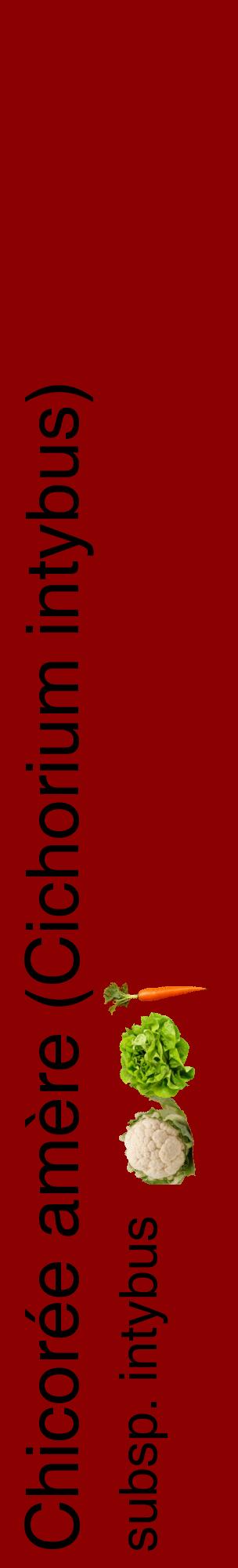 Étiquette de : Cichorium intybus subsp. intybus - format c - style noire34_basiquehel avec comestibilité simplifiée