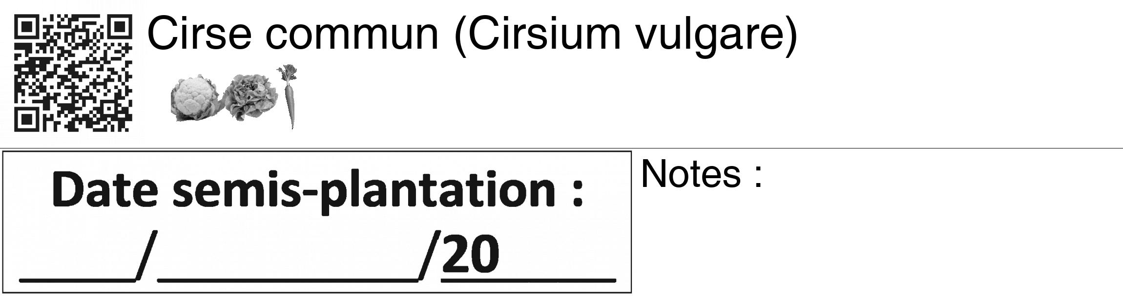 Étiquette de : Cirsium vulgare - format c - style noire60_basiquegrrvhel avec qrcode et comestibilité simplifiée