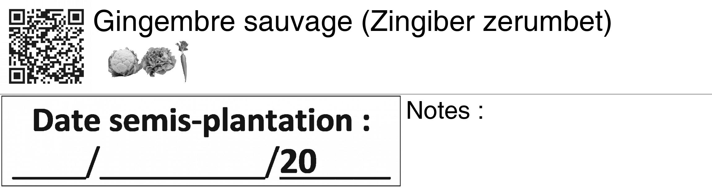 Étiquette de : Zingiber zerumbet - format c - style noire60_basiquegrrvhel avec qrcode et comestibilité simplifiée